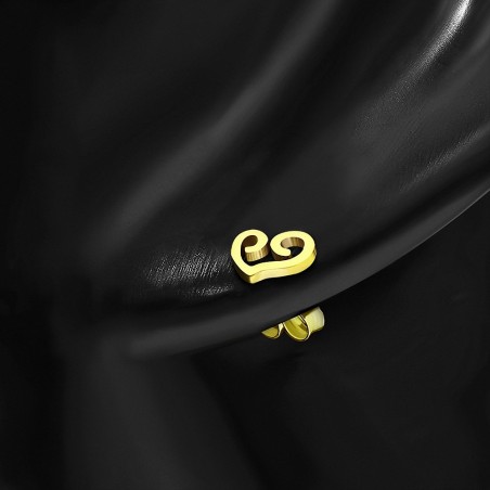 Boucles d'oreilles à coeur ouvert en forme de coeur en spirale en acier inoxydable plaqué en couleur d'or (paire)