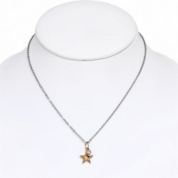 Collier en acier inoxydable 3 pièces avec ton et 2 pièces avec breloque étoile transparente